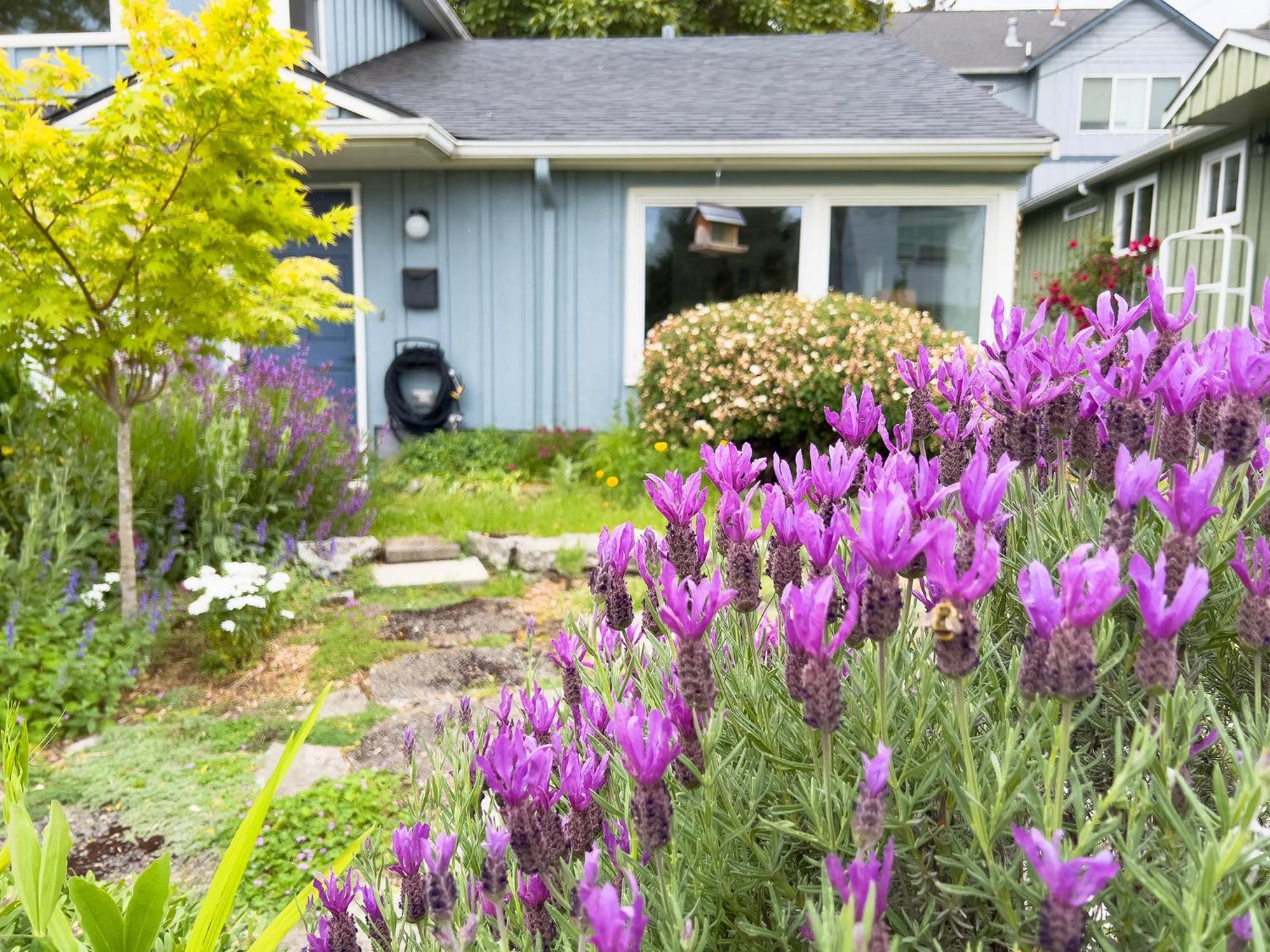 Magnolia Garden Cottage Σιάτλ Εξωτερικό φωτογραφία