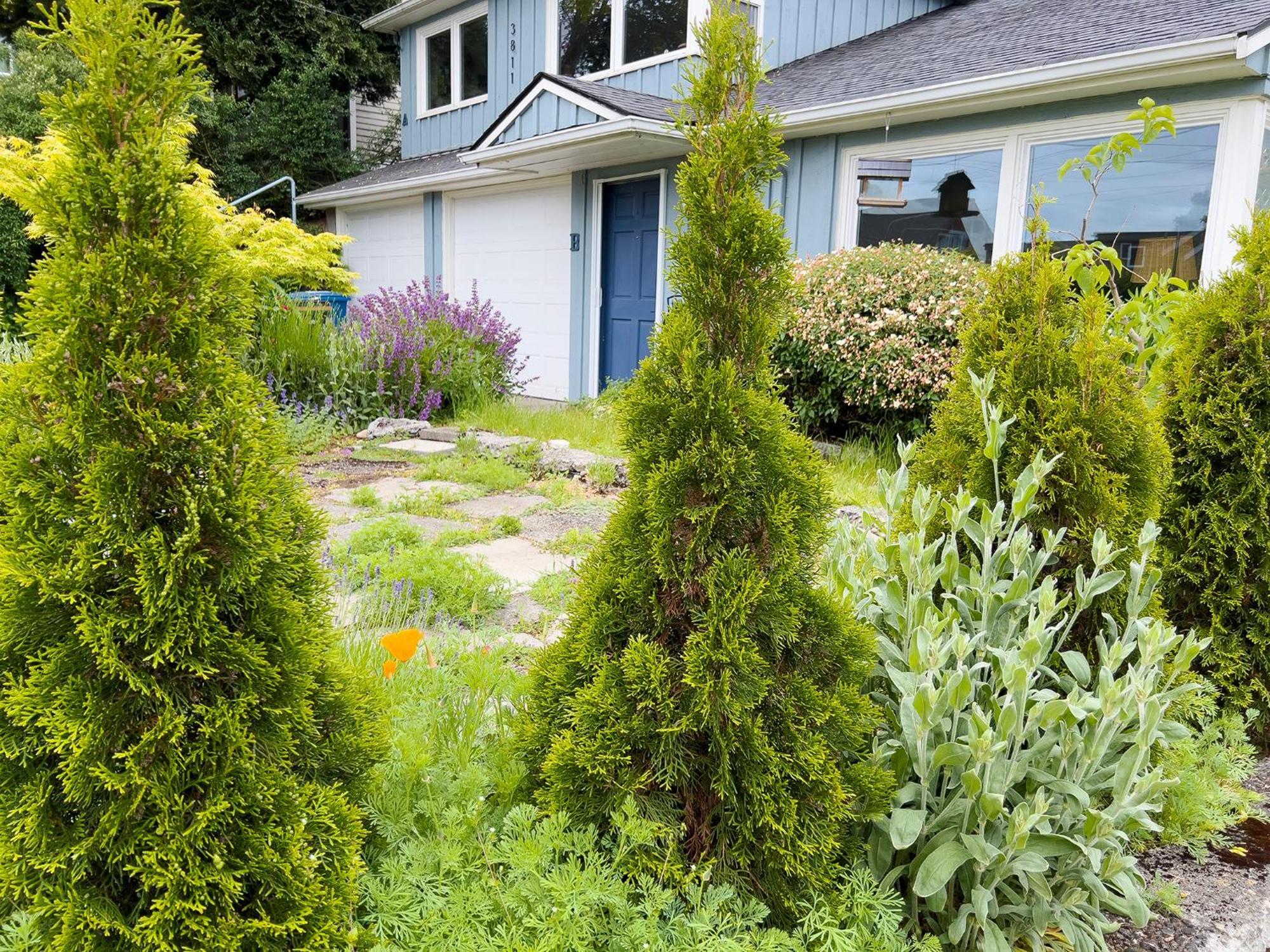 Magnolia Garden Cottage Σιάτλ Εξωτερικό φωτογραφία